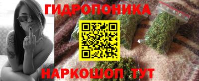 a pvp Гатчина