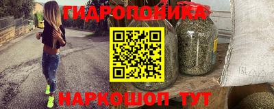 a pvp Гатчина