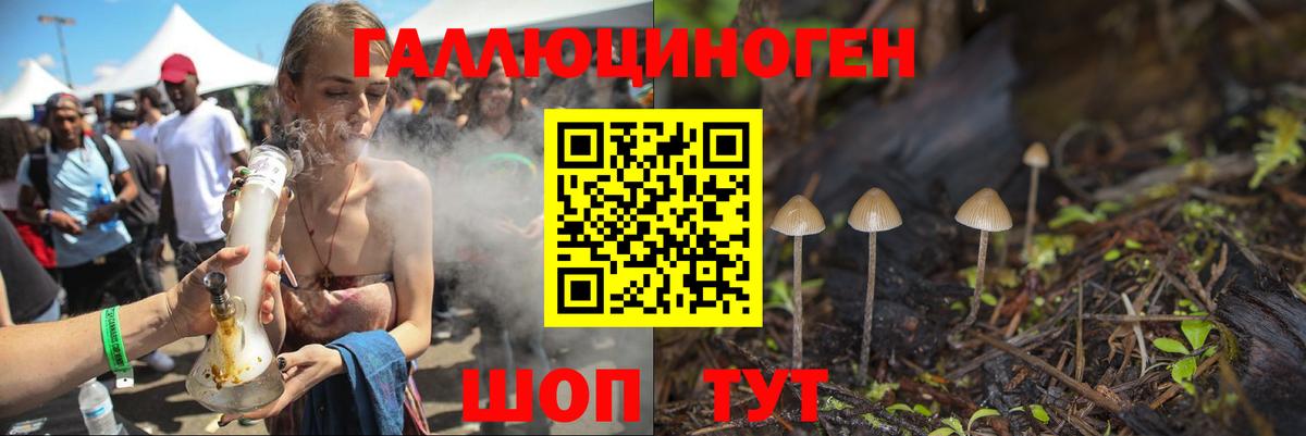 Псилоцибиновые грибы Magic Shrooms  купить   Малгобек  Вход с VPN 